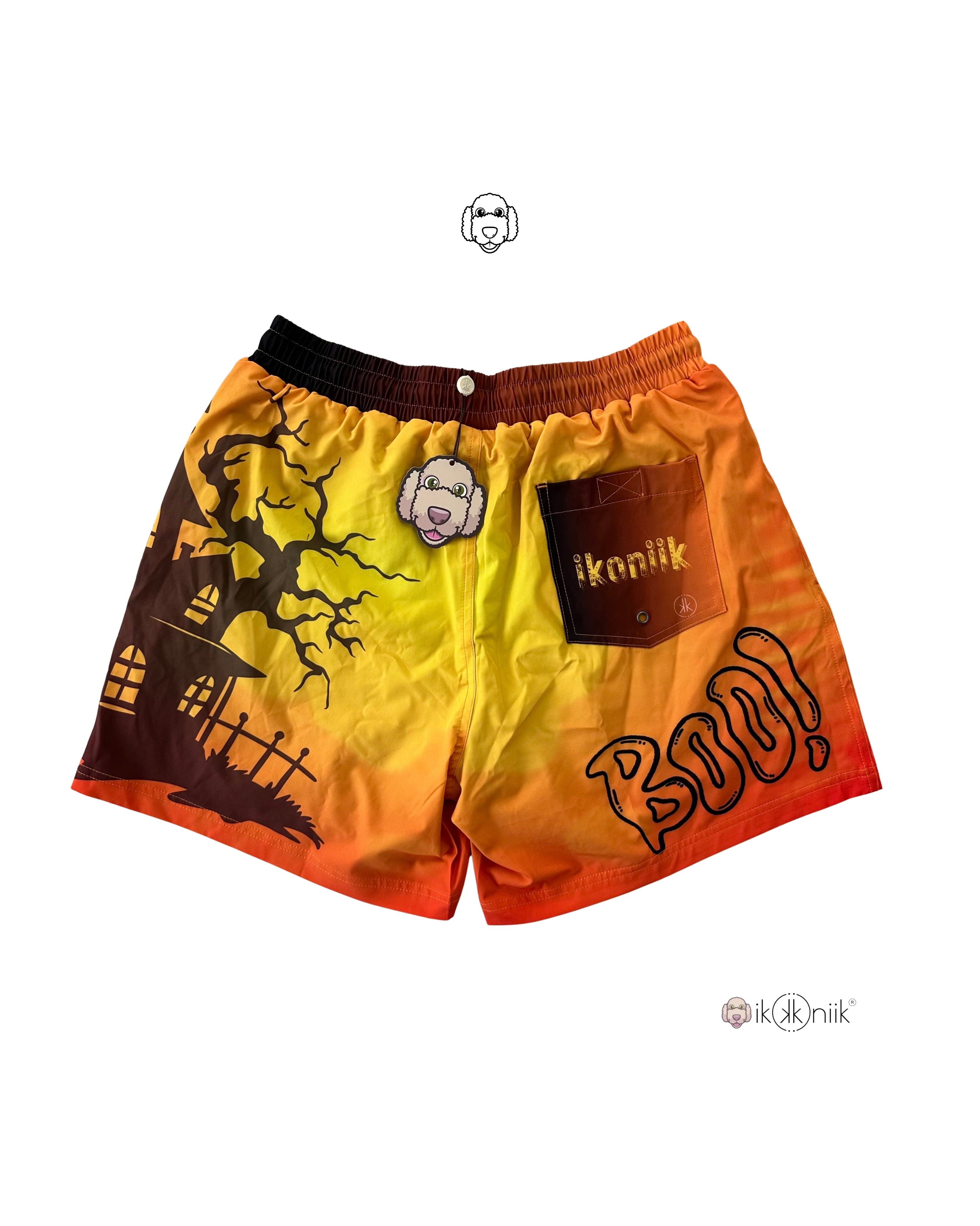 Halloween Edition🎃